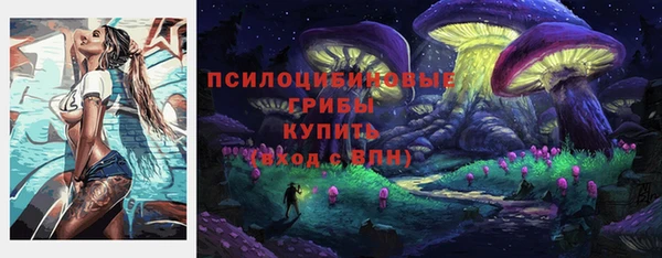 гашик Абинск