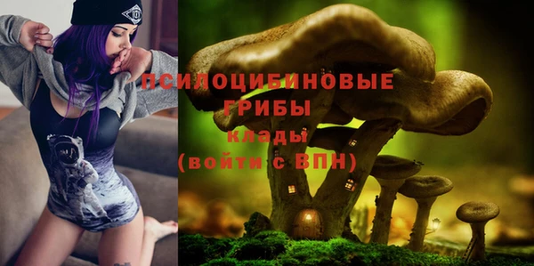 гашик Абинск
